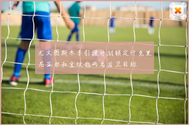 尤文图斯冬季引援计划锁定什克里尼亚尔和金玟哉两名后卫目标
