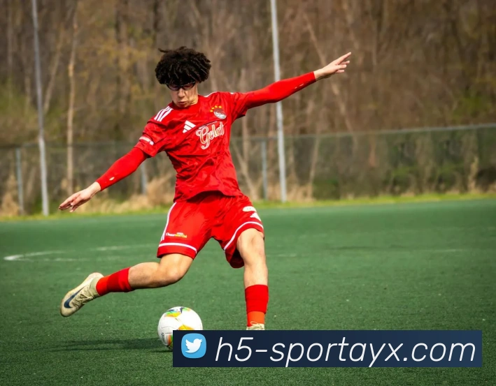 爱游戏平台生态图